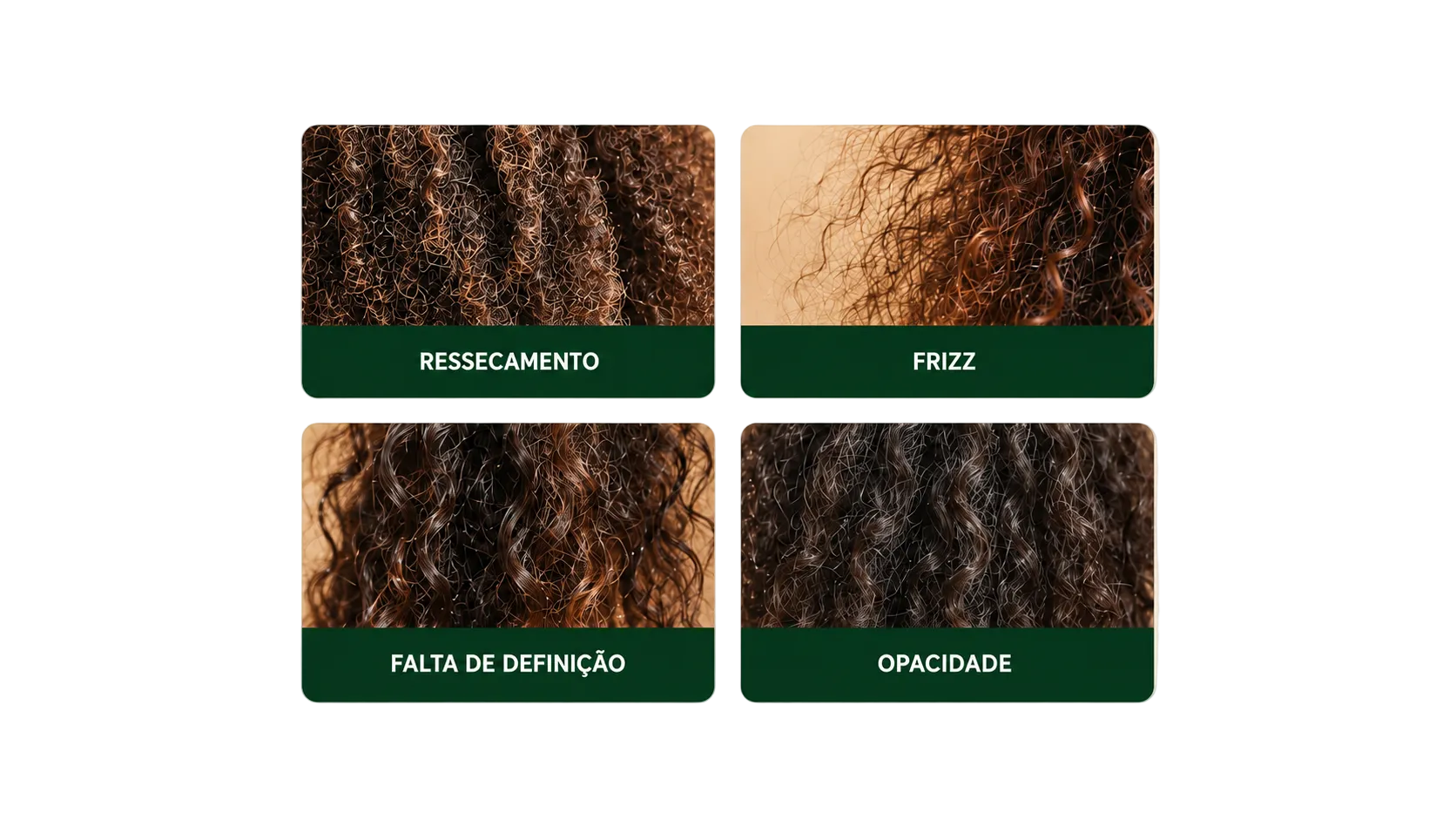 Resultados visíveis do Ritual Banzeiro